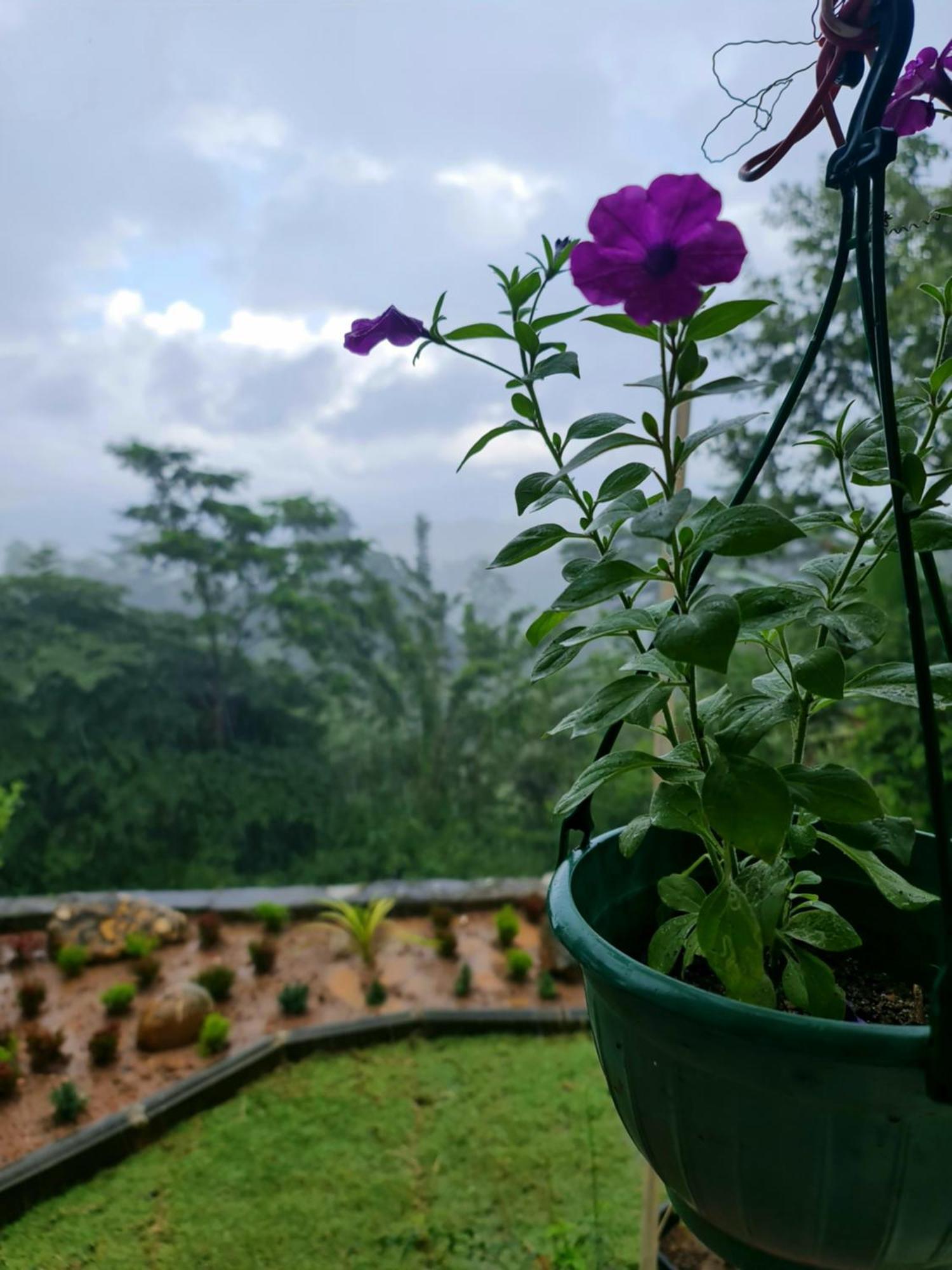 Hello Kandy Homestay Exteriör bild