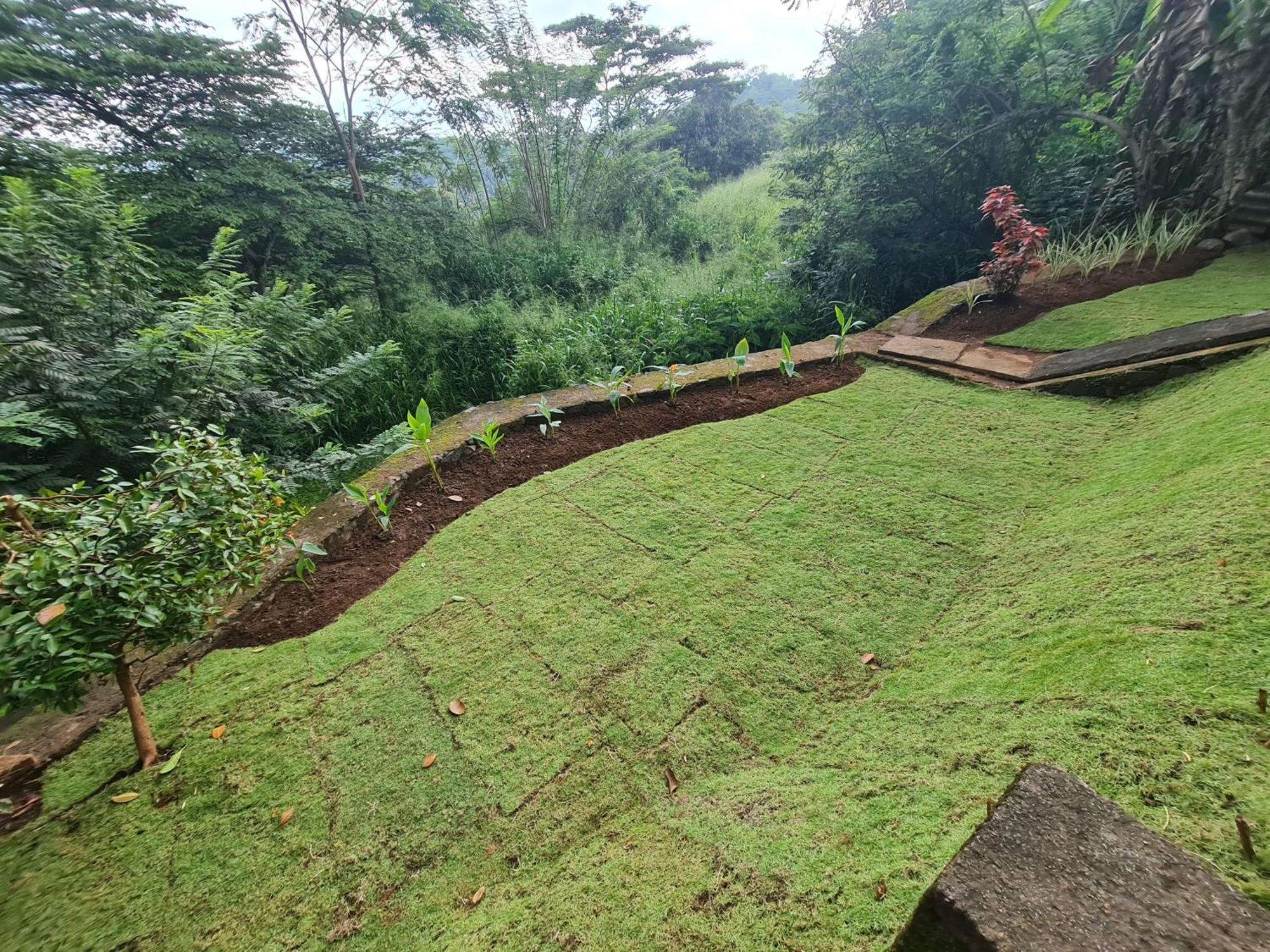 Hello Kandy Homestay Exteriör bild